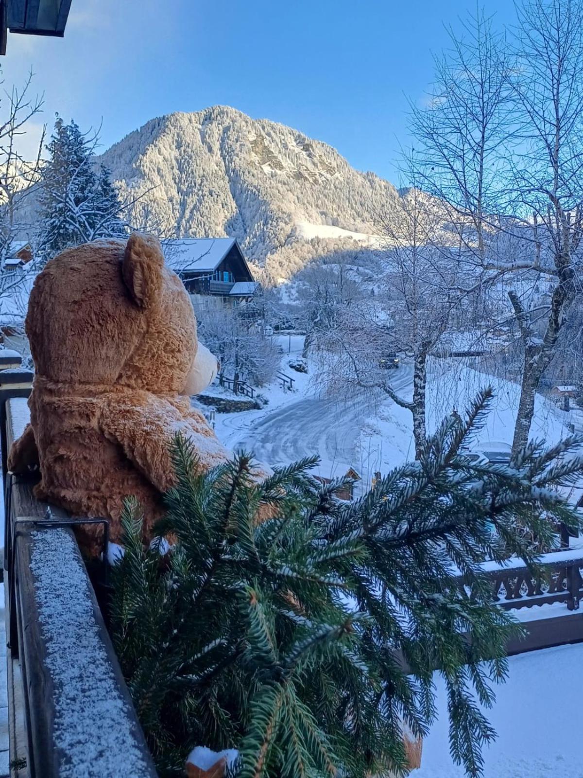 Chalet Appart'Hotel L'Eau Vive Saint-Nicolas-la-Chapelle  Exteriér fotografie